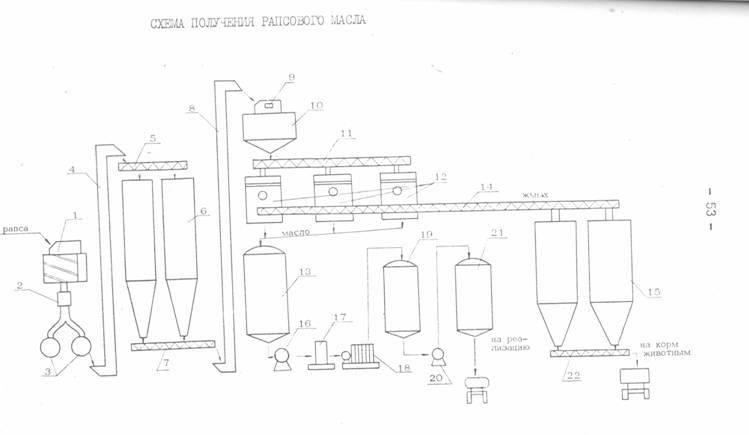 Schema de obținere a uleiului de rapiță