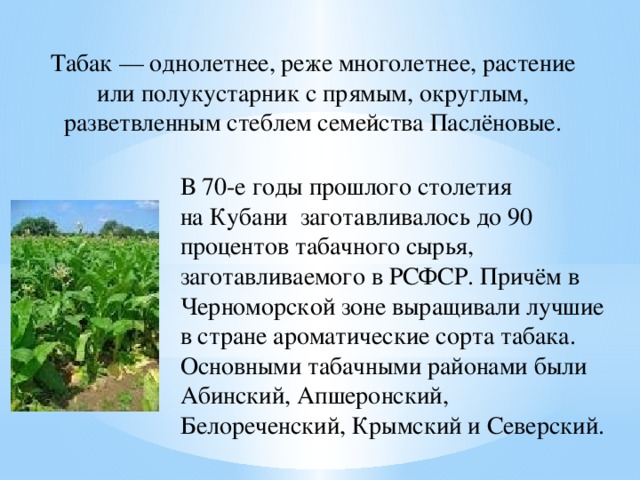 Producția de tutun în clasa Kuban, altele