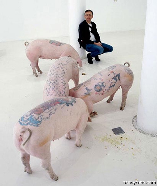 Animale tatuate