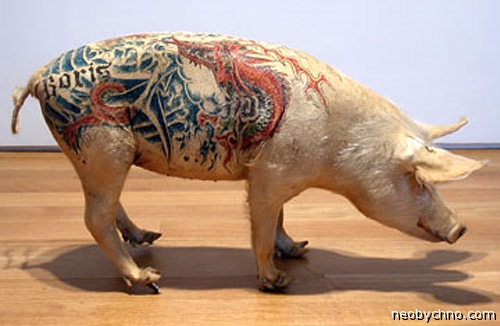 Animale tatuate