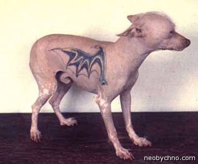 tetovált állatok