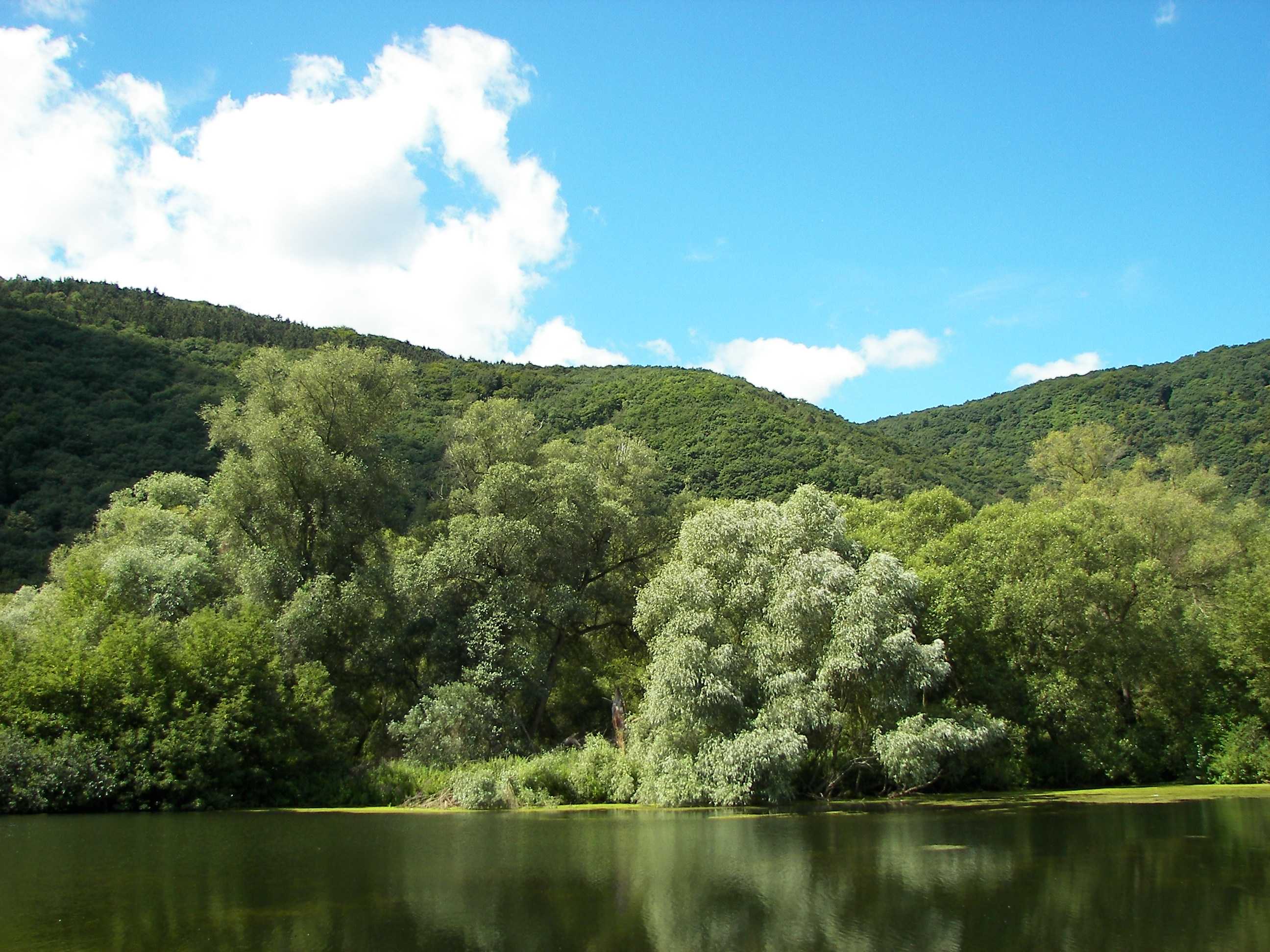 Pădurea Tugai