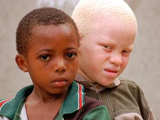 Uciderea albinilor africani