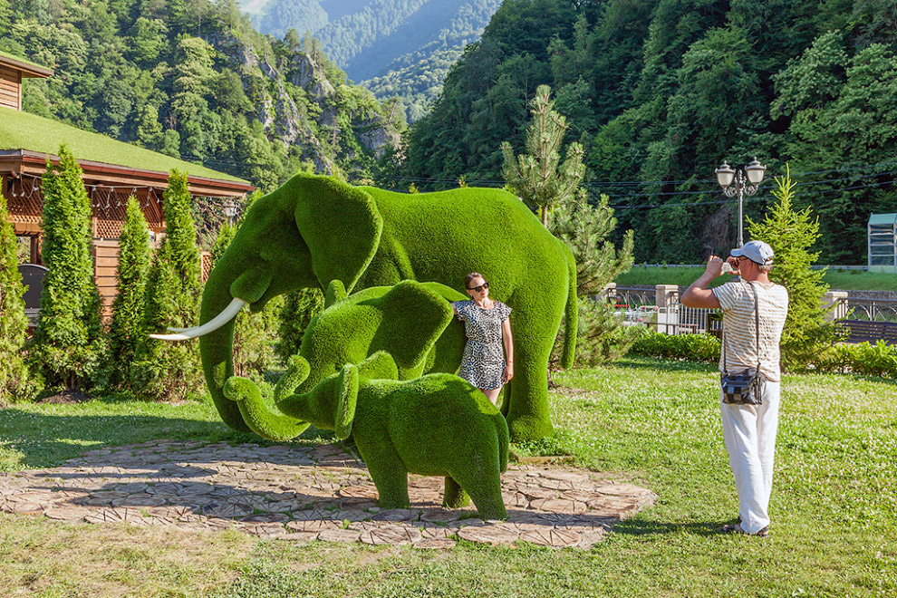 Sculpturi verde uimitoare ale parcului Sochi, mai proaspete - cel mai bun din Runet pentru o zi!