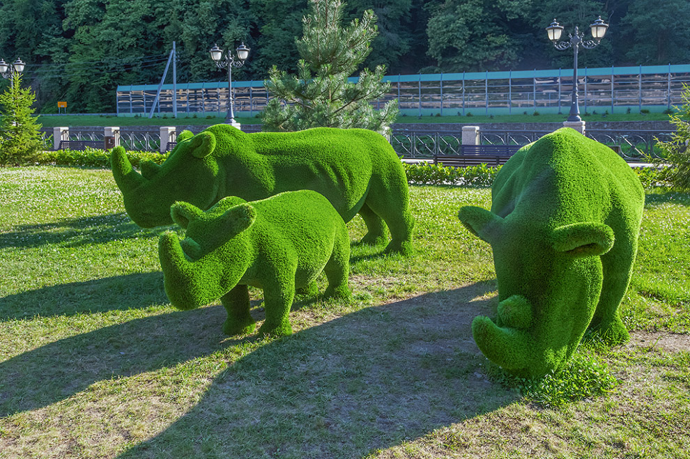 Sculpturi verde uimitoare ale parcului Sochi, mai proaspete - cele mai bune din Runet pentru o zi!