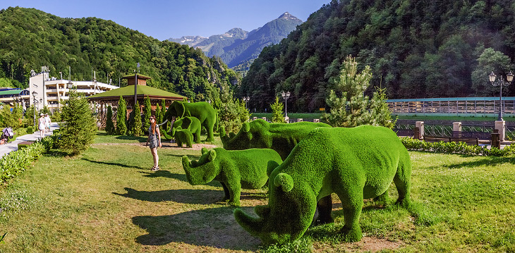 Sculpturi verde uimitoare ale parcului Sochi, mai proaspete - cel mai bun din Runet pentru o zi!