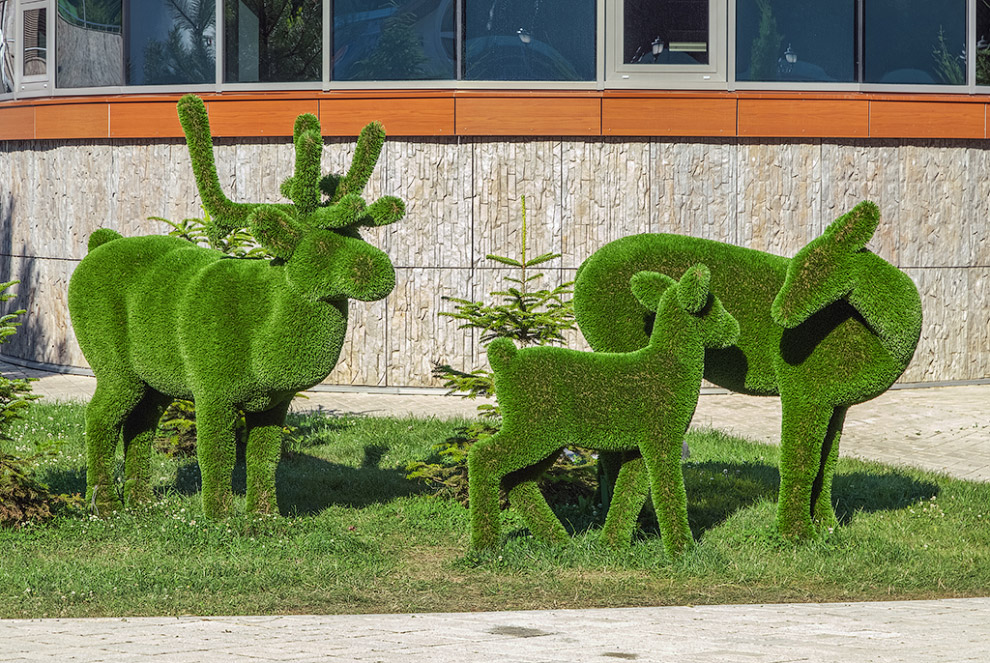 Sculpturi verde uimitoare ale parcului Sochi, mai proaspete - cel mai bun din Runet pentru o zi!