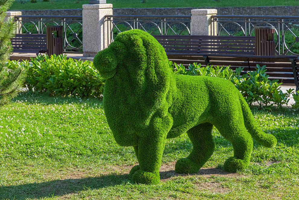 Sculpturi verde uimitoare ale parcului Sochi, mai proaspete - cele mai bune din Runet pentru zi!
