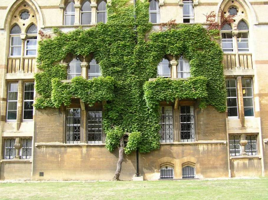 Universitatea din Oxford, citypics - întregul adevăr despre orașe