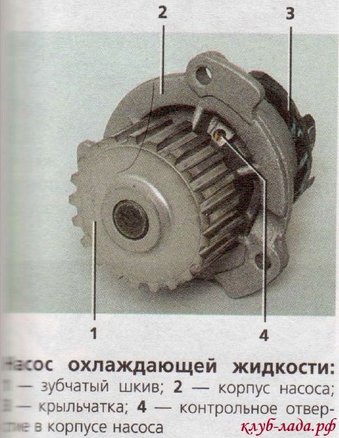 Пристрій системи охолодження двигуна калини