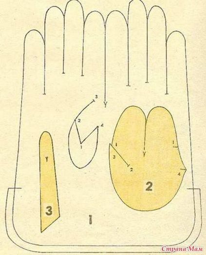 Modelul mănușilor