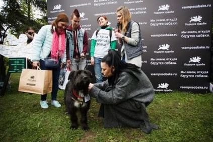 Expoziție de mongolei # în toate modurile (mai 2017), un dar al soartei