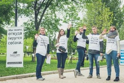 Kiállítás mongrels # vsemposobake (May 2017), ajándék a sors (vsemposobake) Kiállítás mongrels # vsemposobake (May 2017), ajándék sorsa