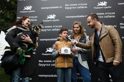 Kiállítás mongrels # vsemposobake (May 2017), ajándék sorsa (2017) Kiállítás mongrels # vsemposobake (May 2017), ajándék sorsa