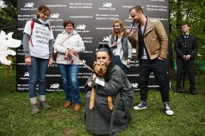 Kiállítás mongrels # vsemposobake (May 2017), ajándék a sors (vsemposobake) Kiállítás mongrels # vsemposobake (May 2017), ajándék sorsa