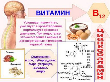 Vitamina b12 (cobalamina) - influență asupra corpului, beneficiu și rău, descriere