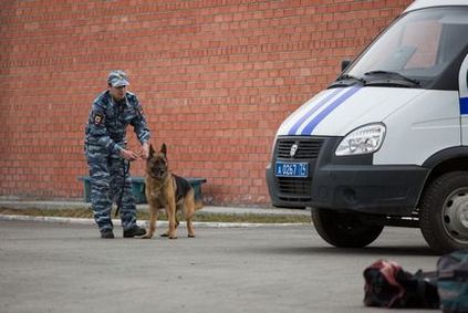 У поліції південного Уралу служить справжня собача еліта