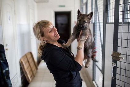 Poliția sudului Uralilor este elita reală a câinilor