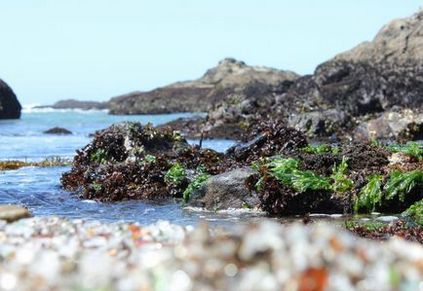 Tot ce mi-a plăcut era să ajung aici - o plajă de sticlă, Fort Bragg, California, Statele Unite