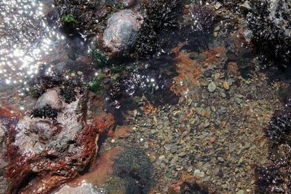 Tot ce mi-a plăcut era să ajung aici - o plajă de sticlă, Fort Bragg, California, Statele Unite