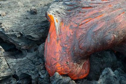 Vulcan ars pe descrierea din Kamchatka, istorie, fapte interesante