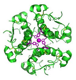 Formula chimică, structura și structura insulinei constă în construirea aminoacizilor