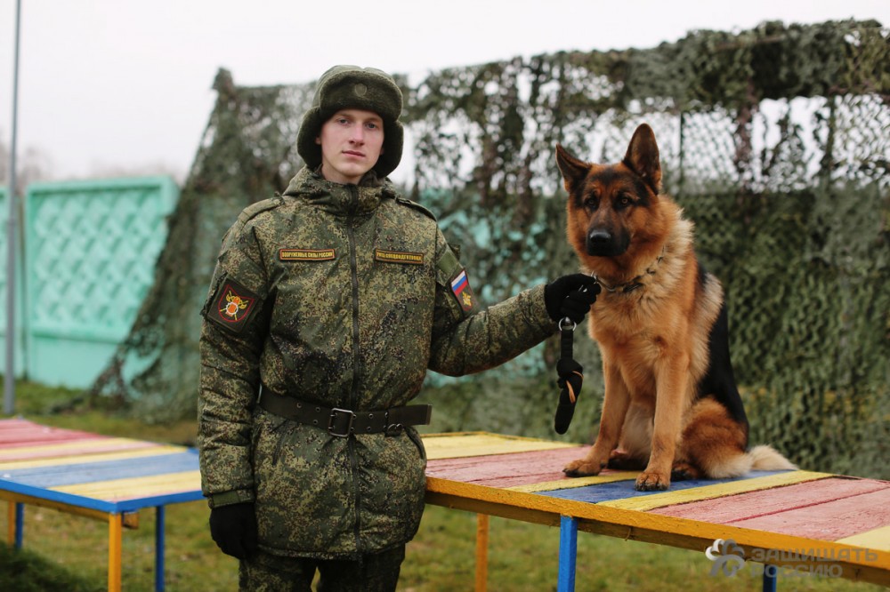 Un recurs în timp ce soldații învață câini