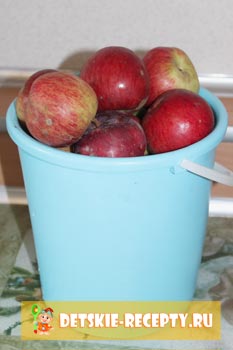 Suc de mere în rețetă maker de suc cu fotografii, rețete pentru copii, feluri de mâncare