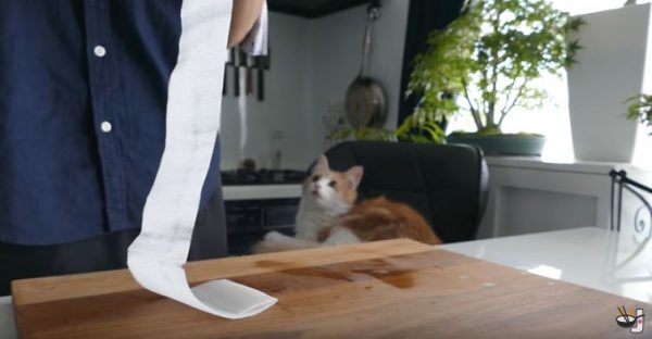 Japán férfi volt annyira jó, tiszta rozsdás kést, amelyek eredményeként meglepve még a macska