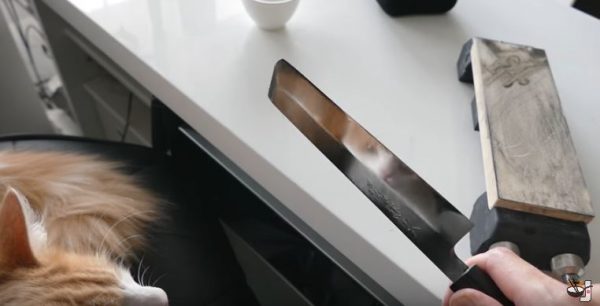 Japonezul putea curăța cuțitul ruginit atât de brusc încât rezultatul era chiar surprins de pisica lui