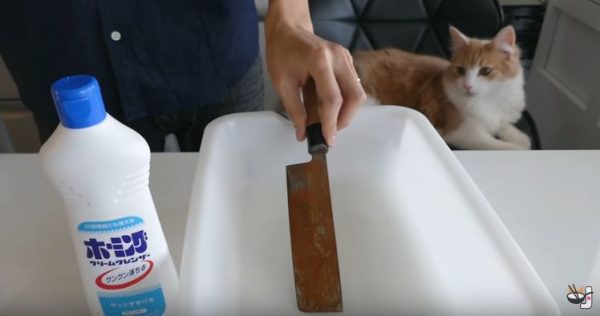 Японець зміг так круто очистити іржавий ніж, що результату здивувався навіть його котик