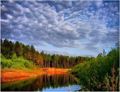 Тварини червоної книги Удмуртії фото і опис