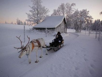 Зимовий відпочинок в Лапландії