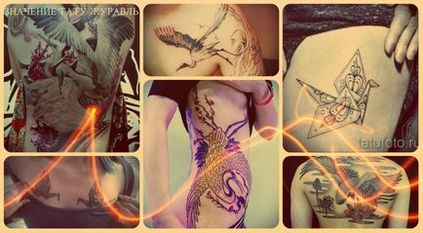 Semnificația tatuajului este o semnificație a macaralei, istorie, fotografie și schițe