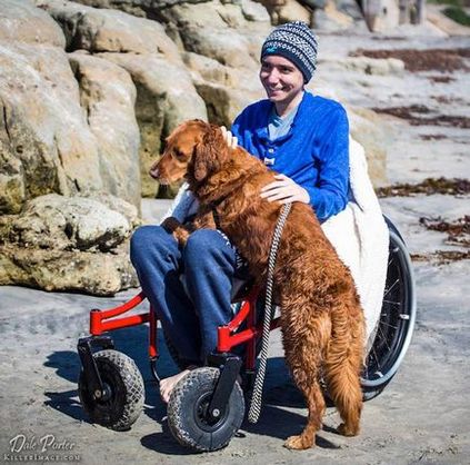 Inima de aur a unui câine surfer îi ajută pe copiii și adulții bolnavi să iubească viața și să găsească forța de a lupta
