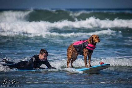 Inima de aur a unui câine surfer îi ajută pe copiii și adulții bolnavi să iubească viața și să găsească forța de a lupta