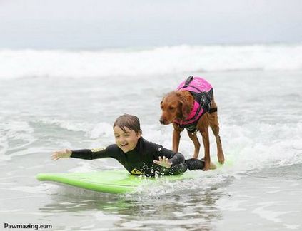 Inima de aur a unui câine surfer îi ajută pe copiii și adulții bolnavi să iubească viața și să găsească forța de a lupta