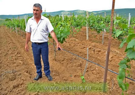 Aik-agrosystems - 20 de ani pe piața irigării prin picurare,