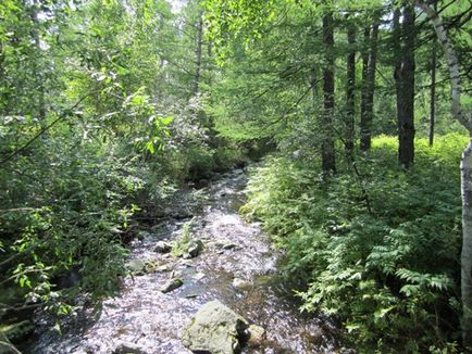 Alkhanay - Nemzeti Park, a hely, a teljesítmény, a szellemi tisztító és gyógyító