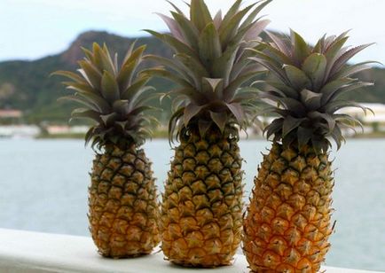 Ananas cu vodcă pentru rețeta de pierdere în greutate pentru tinctura de ananas