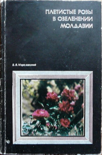 Kapcsolódó Könyvtár - rózsa és a rózsakert a világ (Library) Kapcsolódó Könyvtár - rózsa és rózsakert a világ