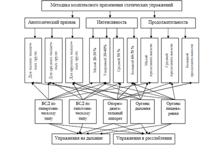 Бодібілдинг і артеріальний тиск