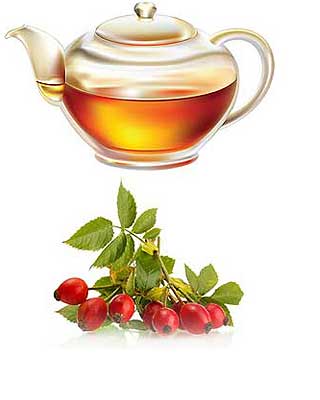 Tea csipkebogyó, haszon és kár, az egészséges táplálkozás