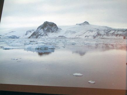 Чим займаються і як живуть білоруські полярники в Антарктиці