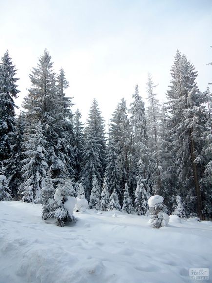 Ce să faci în rapoartele din Zakopane, Polonia - foto, hellotraveler