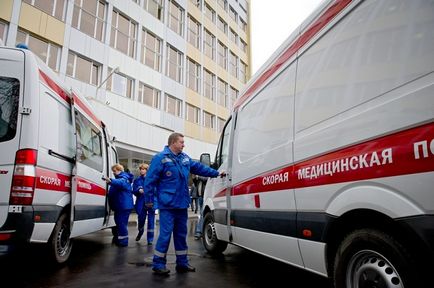 Що робити при дтп автомобіля з пішоходом - людський фактор