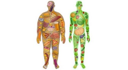 Що є щоб схуднути, комплексний підхід, міфи як треба харчуватися для схуднення, основи і принципи