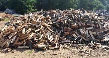 Care este umiditatea lemnului de foc cum să depozitați, să depozitați și să uscați lemn de foc (lemn)