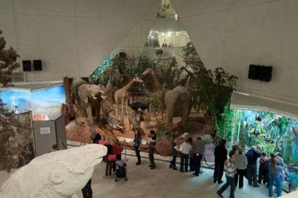 Darwin Múzeum Moszkvában