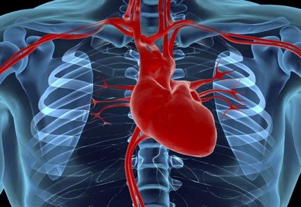 Deficiența septului interatrial al inimii (dmp)